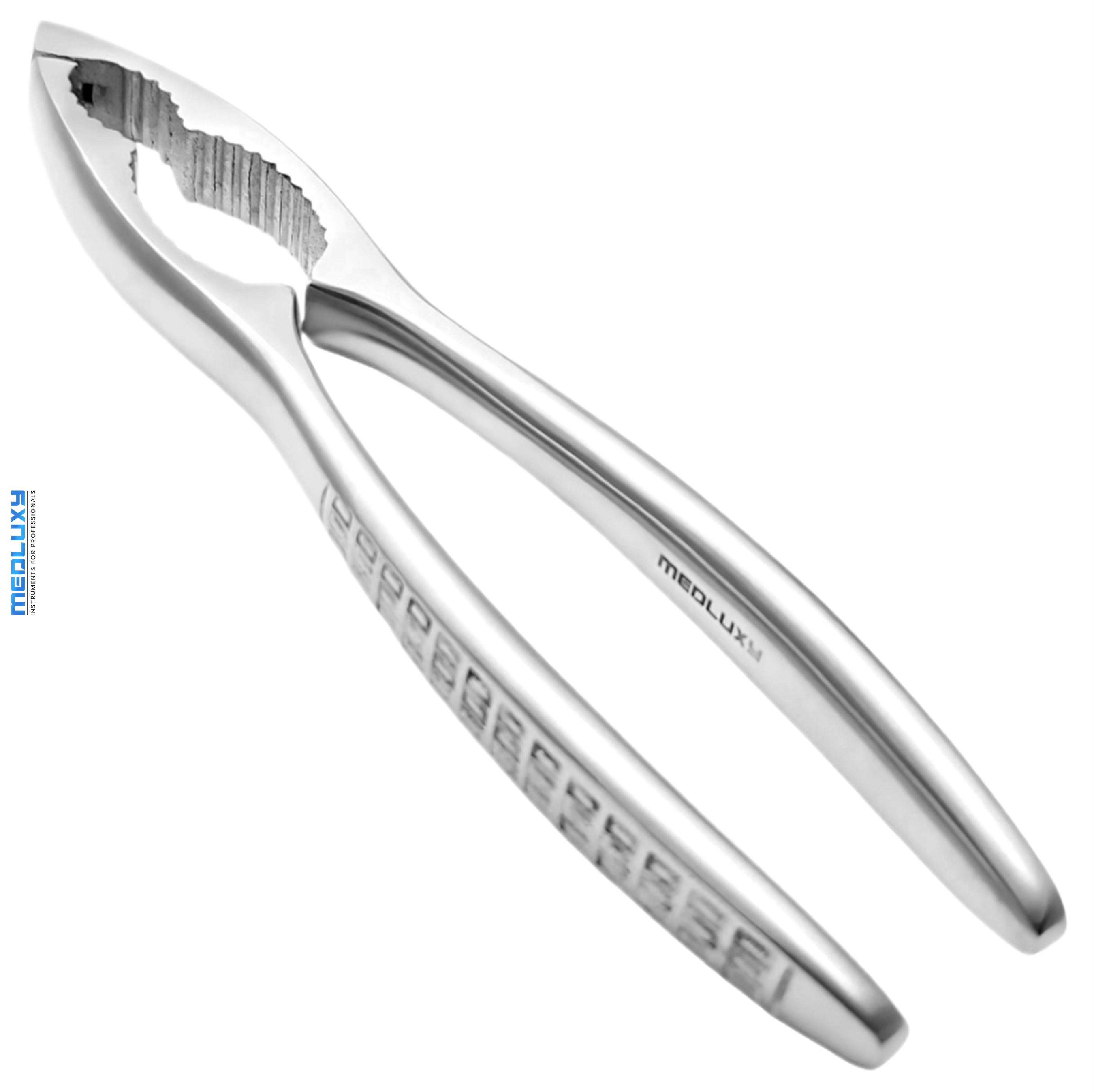 Medluxy - Nutcracker - 17 cm - Stainless Steel - Japanese Hardened Steel - Robust - Hand Made (walnut cracker)